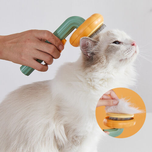Grooming