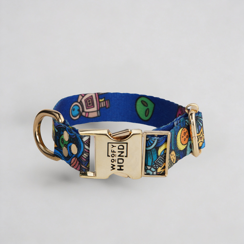 Stardust Collar, Quick-Dry with Gold Details