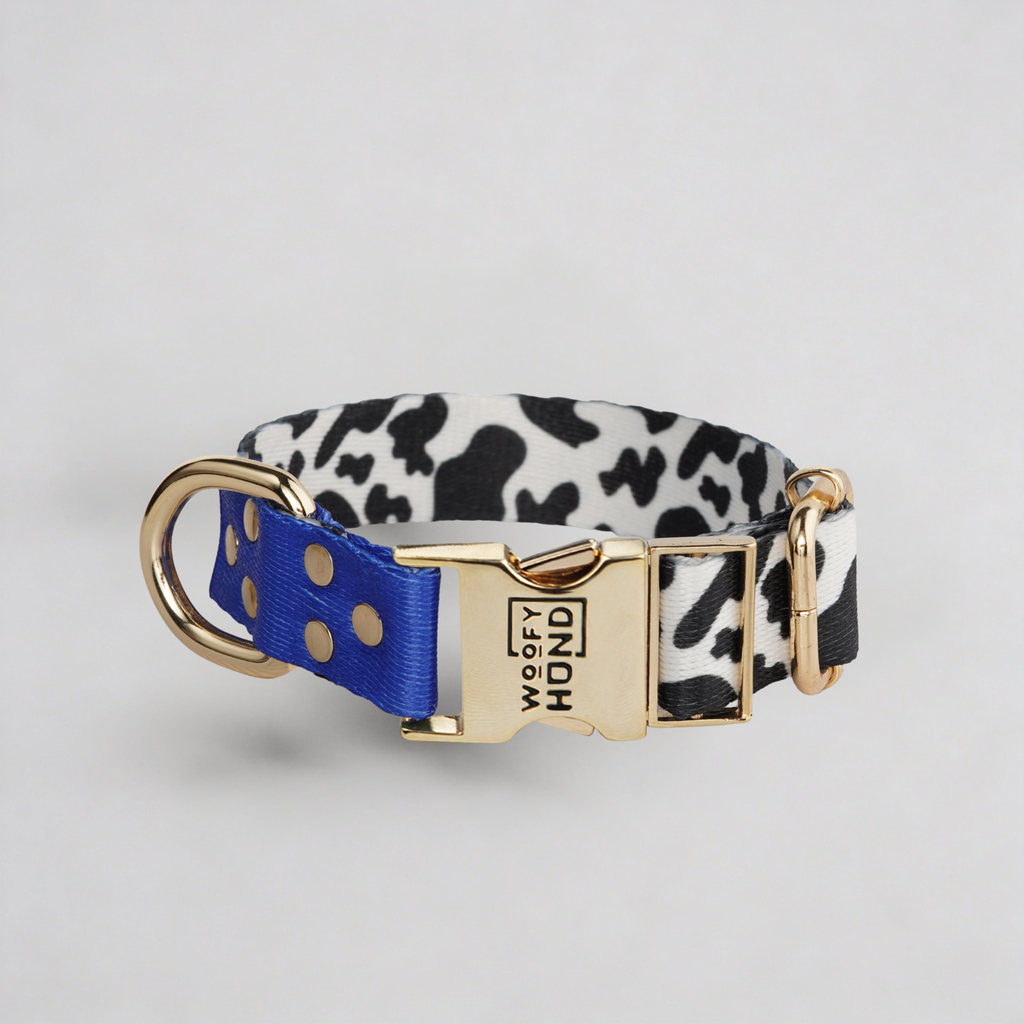 Blueberry Collar