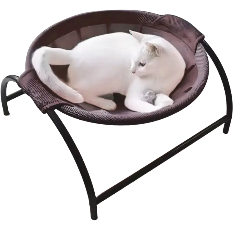 Sunny Perch Hammock Bed, Elevated and Breathable for Cats