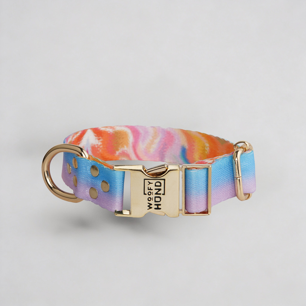 Aurora Collar, Quick-Dry with Gold Details