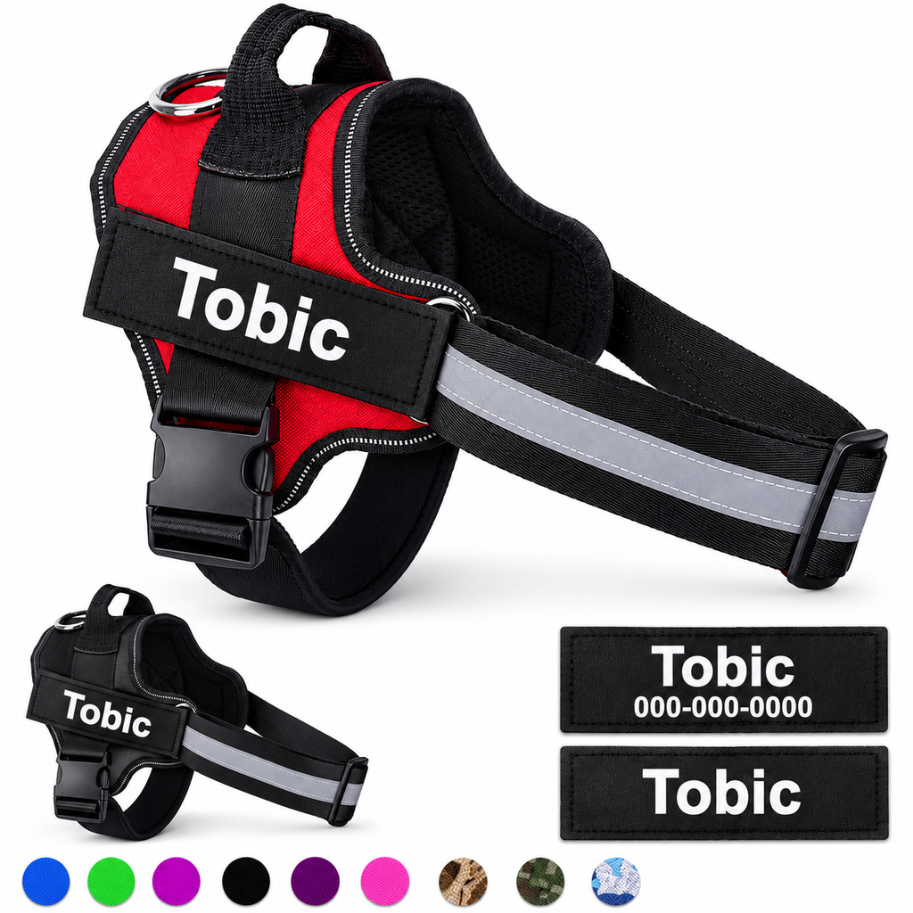 Personalized No-Pull Harness, With Your Dog's Name