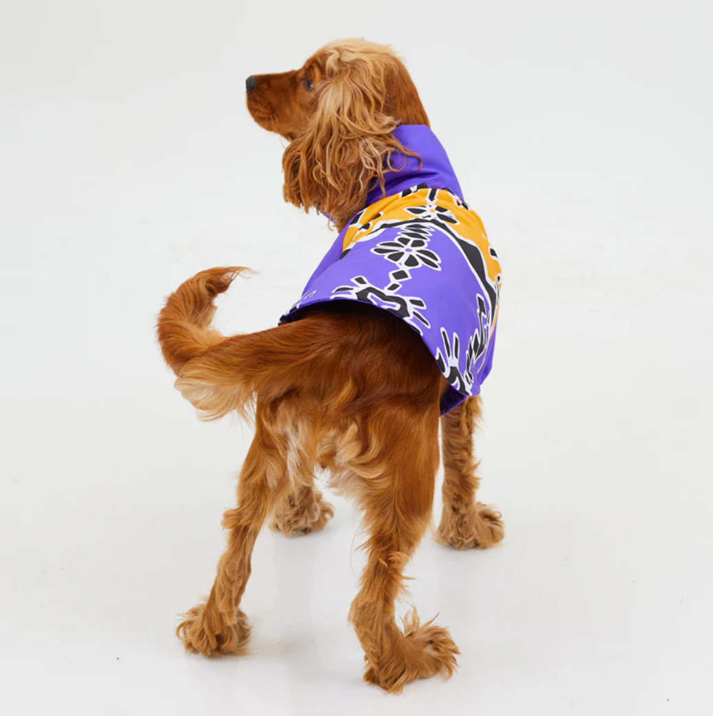 RainWoof Rain Jacket