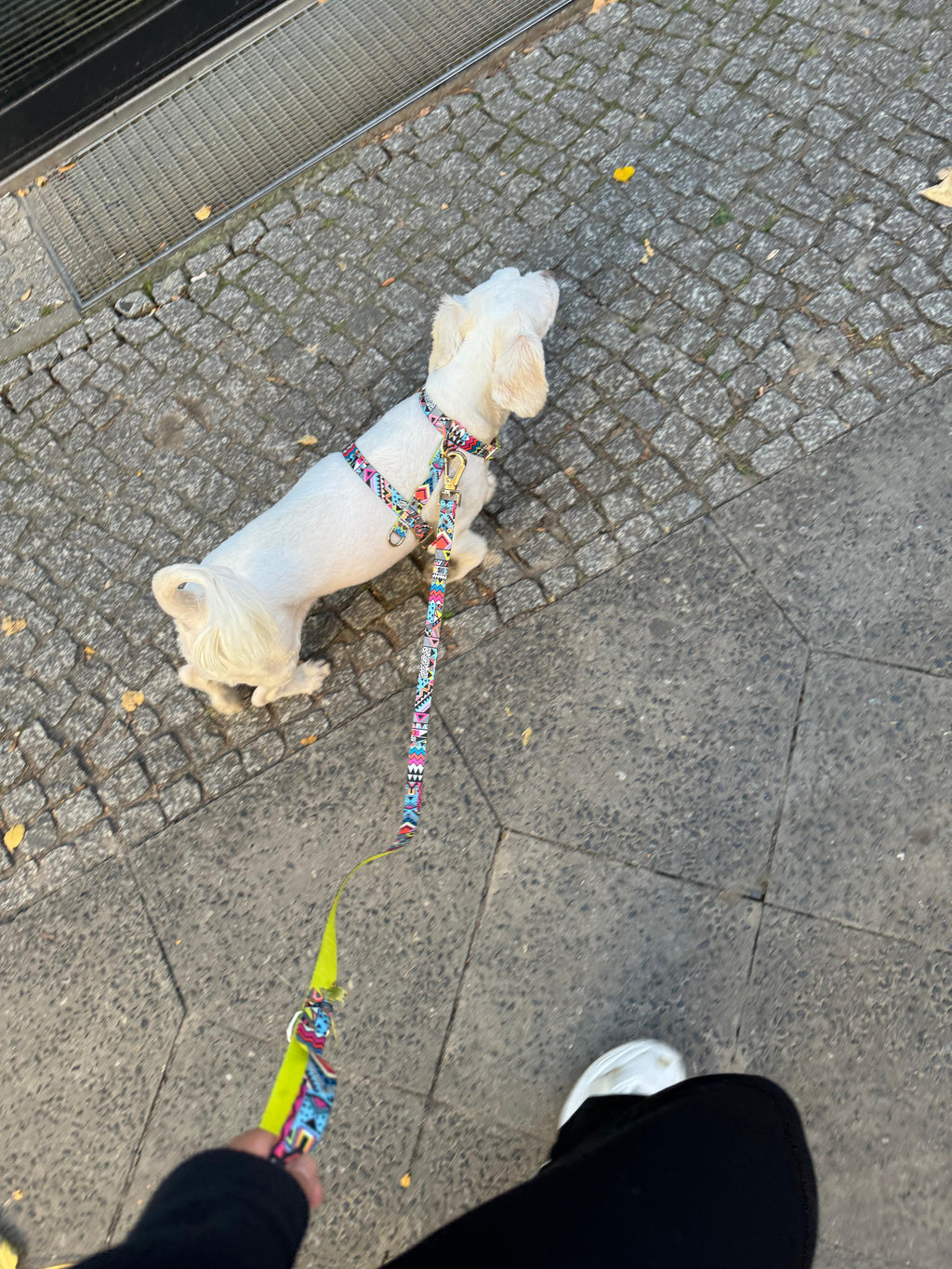 Ethnic Vibrance Harness, Light and Quick-Dry