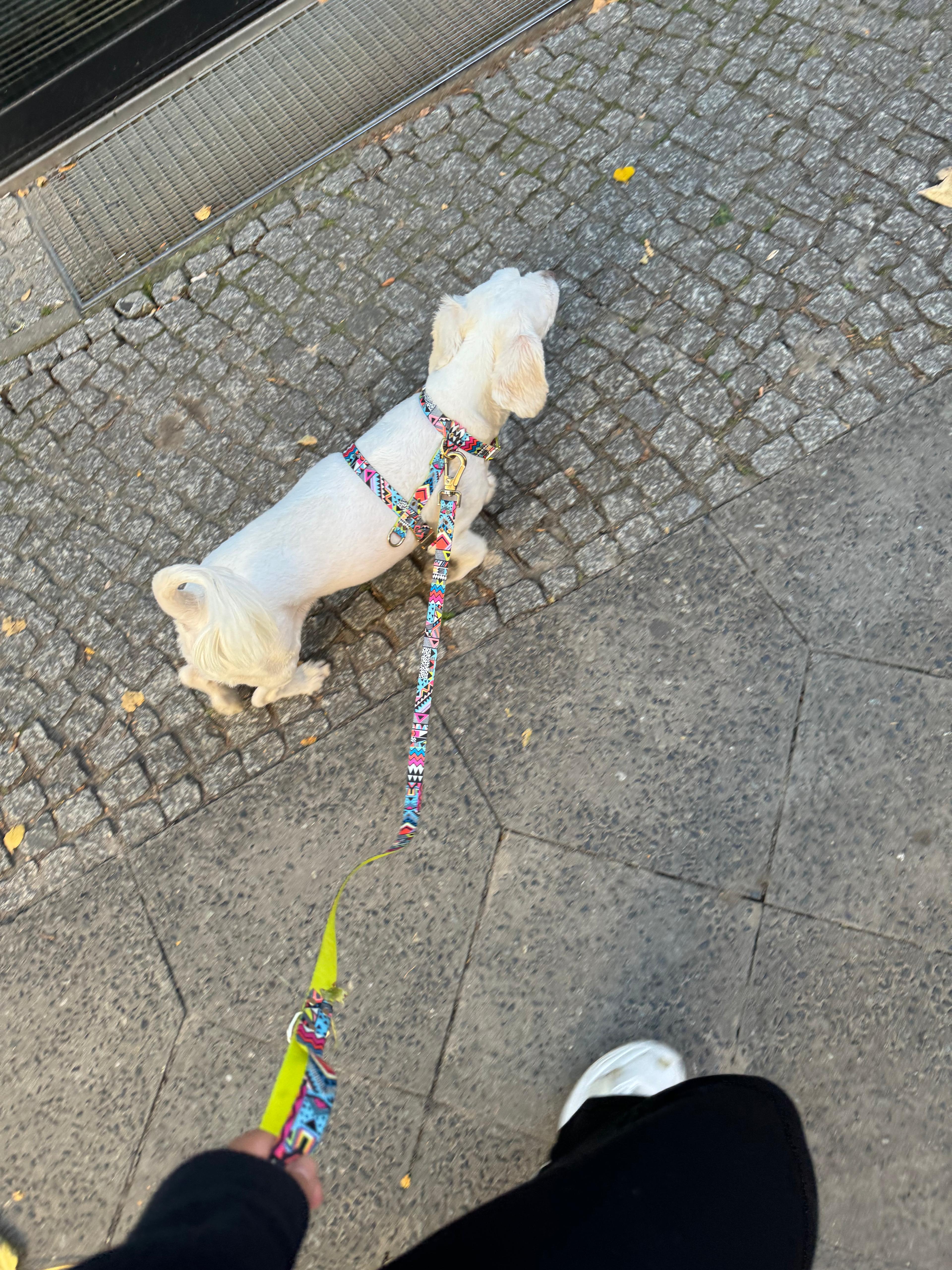 Ethnic Vibrance Harness, Light and Quick-Dry