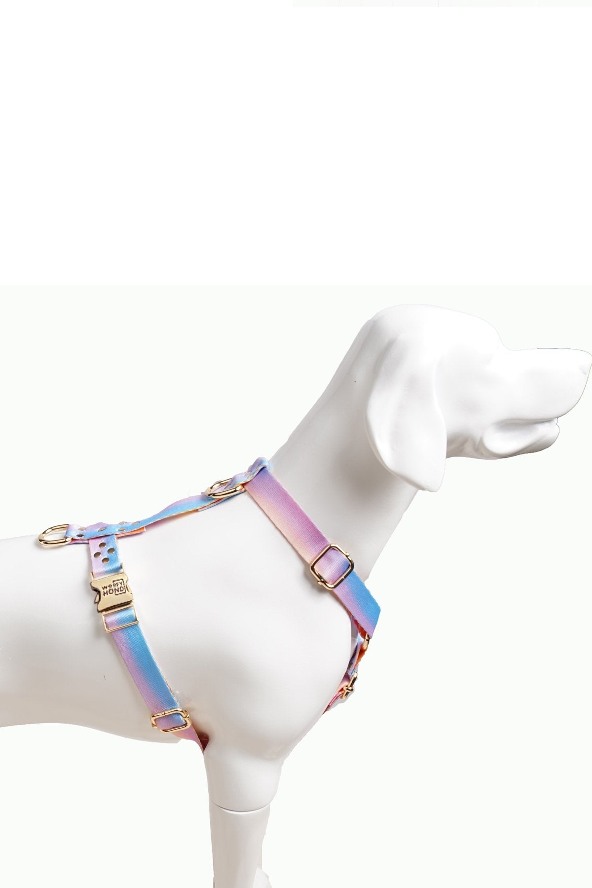 Sunbeam Harness, Quick-Dry Everyday Comfort